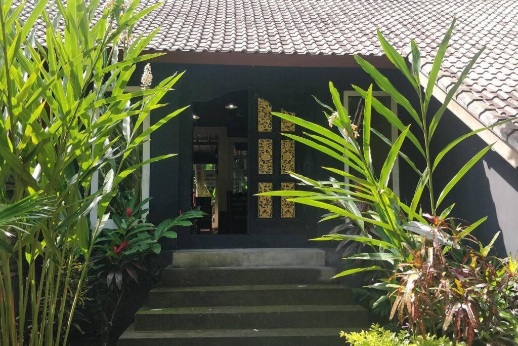 Villa King: Unique Villa With Indoor Swimming Pool Amed  Bagian luar foto