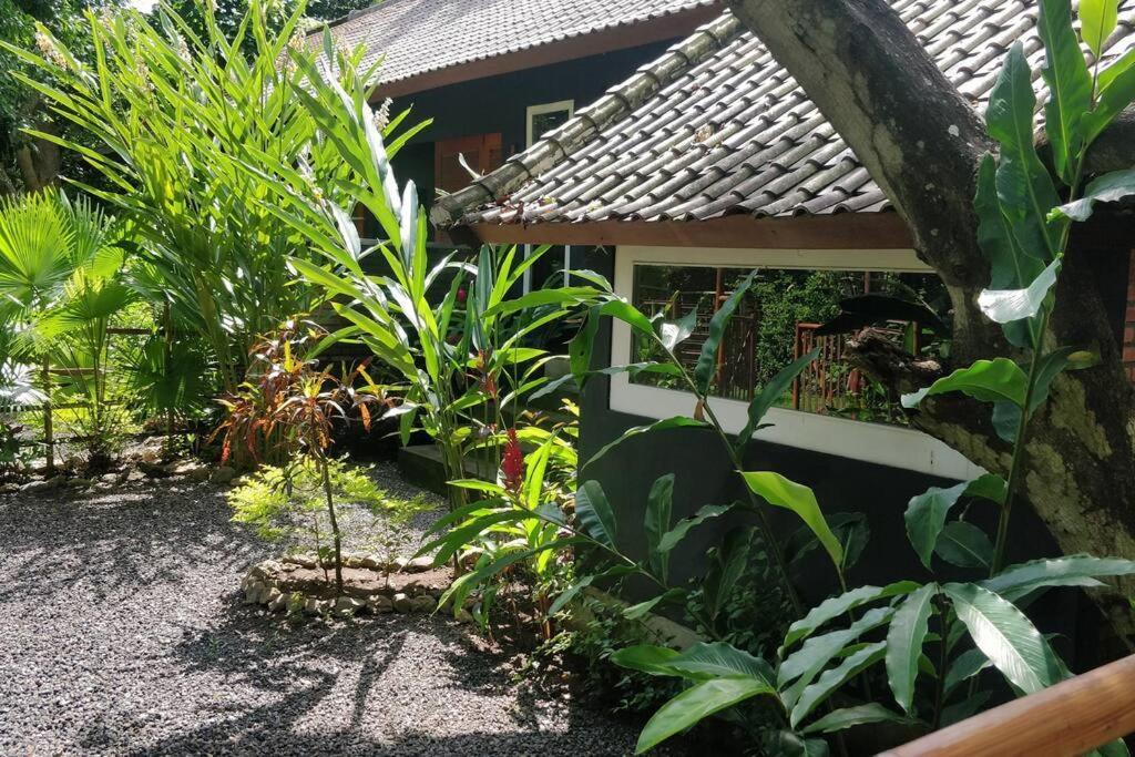 Villa King: Unique Villa With Indoor Swimming Pool Amed  Bagian luar foto