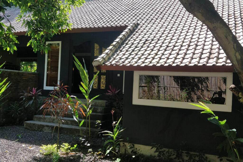 Villa King: Unique Villa With Indoor Swimming Pool Amed  Bagian luar foto