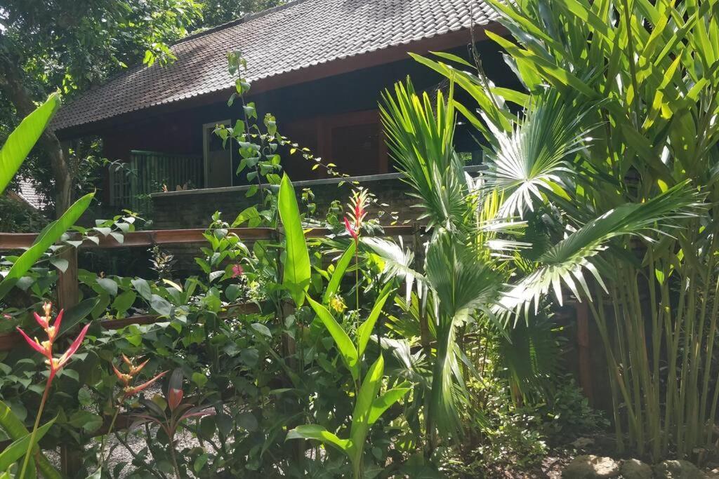 Villa King: Unique Villa With Indoor Swimming Pool Amed  Bagian luar foto